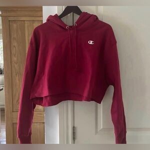 Champion Cropped Sweater